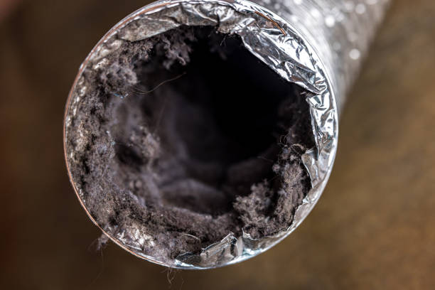 Best Professional Duct Cleaning Services  in Danville, IN